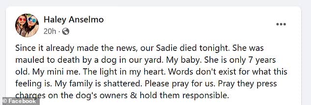 Anselmo confirmed Sadie's death after the child was rushed to the hospital