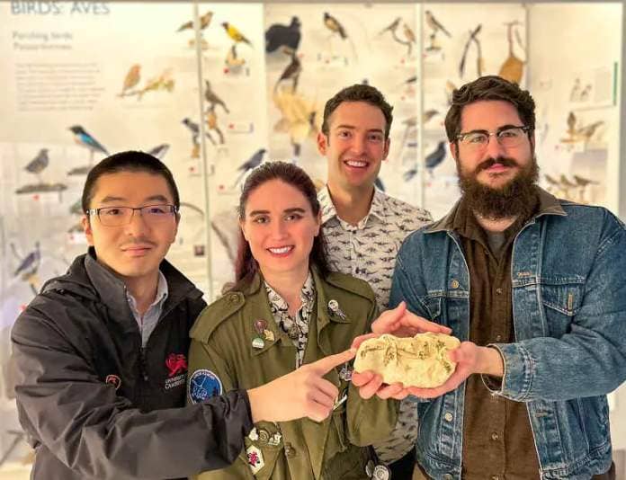 Four-scientists-hold-rock-containing-fossil-against-poster-of-birds