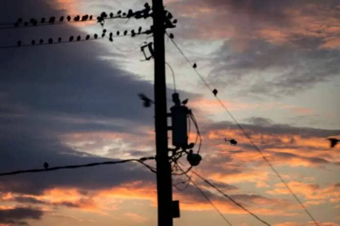 Birds perched on power lines in Houston