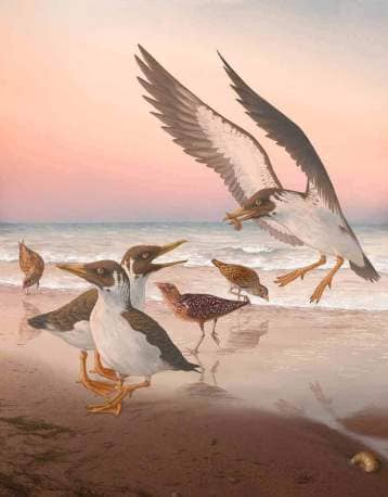 Dino-bird-with-squid-in-mouth-on-shoreline-artists-impression