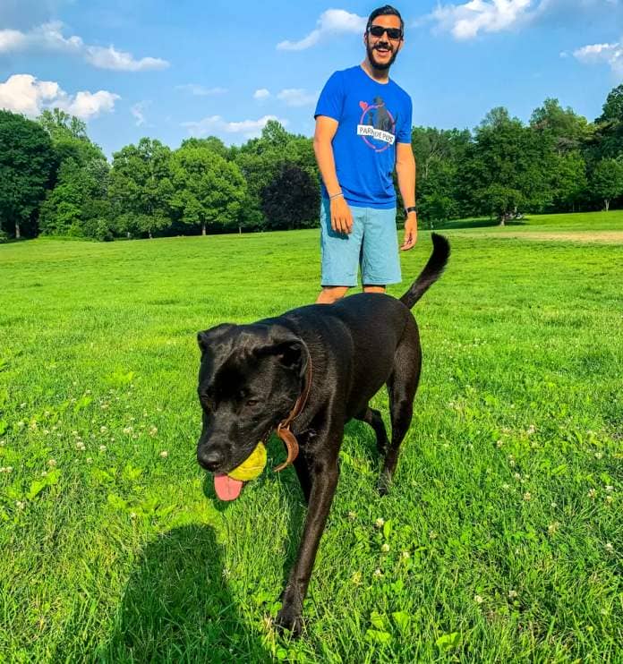 Michael Josephs, 34, a former special needs teacher who lives in Brooklyn, raked in $120,000 in 2022 for his dog walking business. He recently expanded into the New Jersey market.