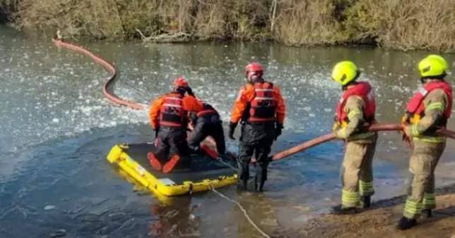 The pair had been trapped ‘quite a way from the shore’ (Picture: London Fire Brigade)