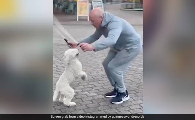 Video Of Dog With World Record For Most Skips On Hind Legs Goes Viral