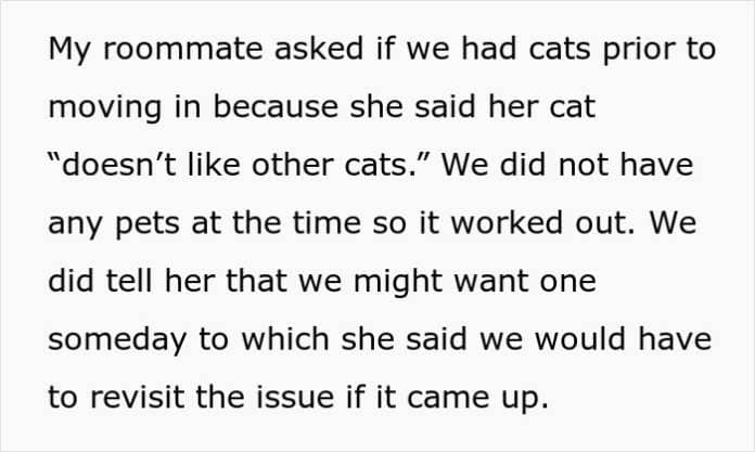 Woman Warns Her Roommates Her Old Cat Doesn't Like Other Cats, Now They Ask Her To Lock It Up After They Secretly Got A Kitten