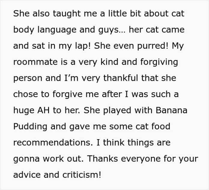 Woman Warns Her Roommates Her Old Cat Doesn't Like Other Cats, Now They Ask Her To Lock It Up After They Secretly Got A Kitten