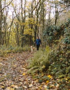 A woman walks her dog along woodland path