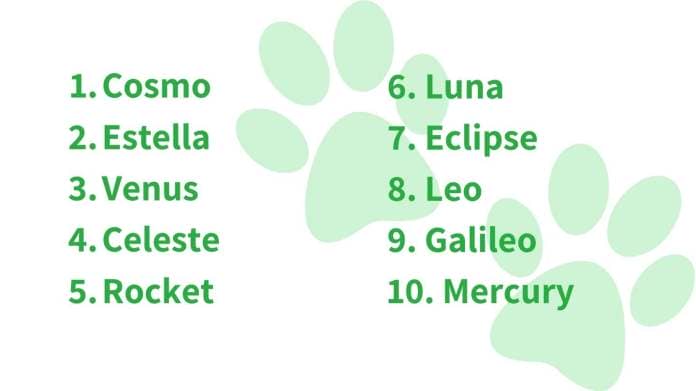 Cosmo, Estella, Venus, Celeste, Rocket, Luna, Eclipse, Leo, Galileo, Mercury