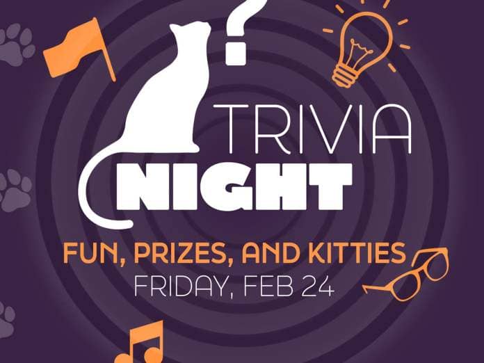 Trivia Night at Tail Town Cat Cafe