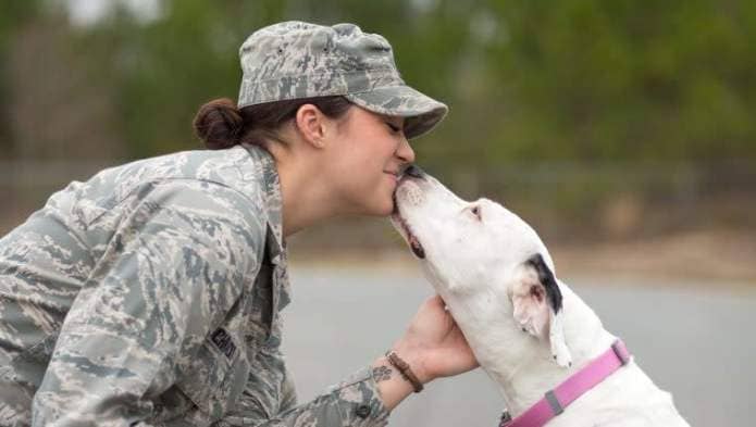 Air Force Sergeant Seeks to Adopt Stray Dog She Befriended During Deployment