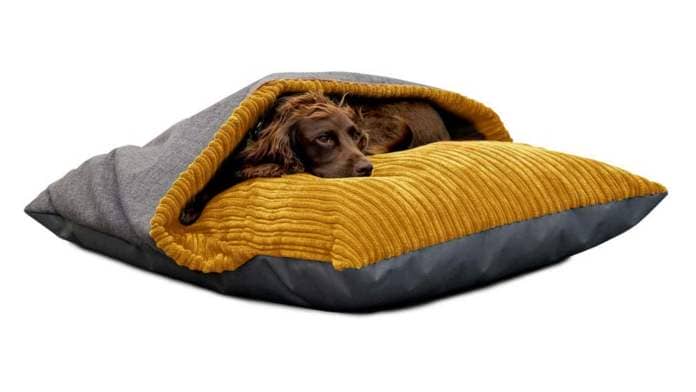 Cosy dog bed with brown spaniel