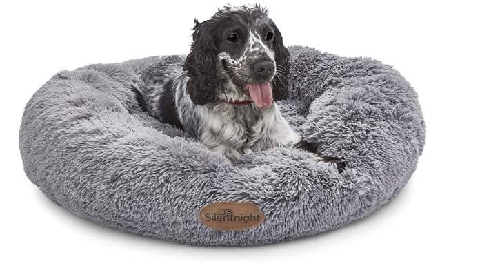Spaniel in calming dog bed
