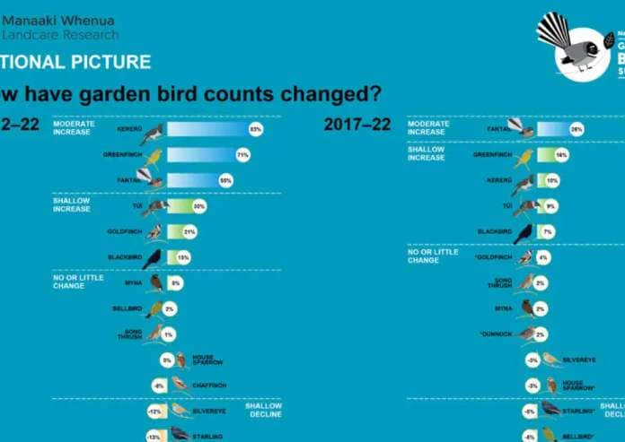 A graphic showing a graph of how bird counts have changed over time.