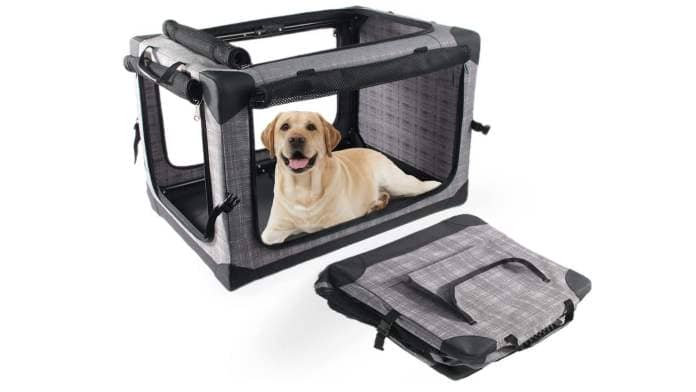 Yellow labrador in dog crate