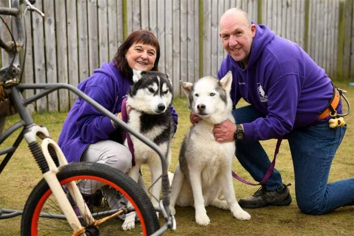 Sandra and Graham Robinson from Saints Sled Dog Rescue with Tulok and Tikanni the Siberian Huskies. Picture: James Mackenzie.