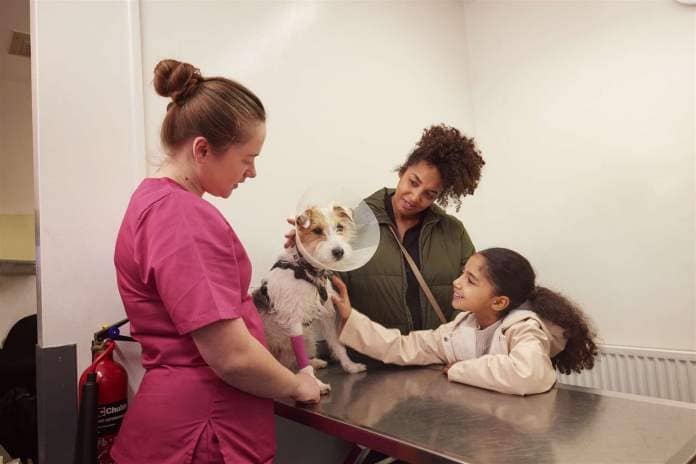 The PDSA treated almost 400,000 animals last year.