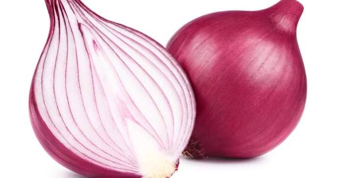 Are Onions Poisonous - Onion