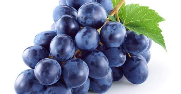 Are Grapes Dangerous - Dark Blue Grapes