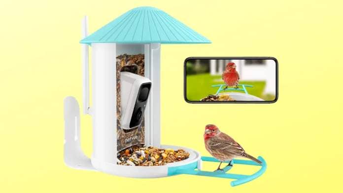 The Birdfy Lite is one smart (looking and tech) bird feeder. (Photo: Amazon)