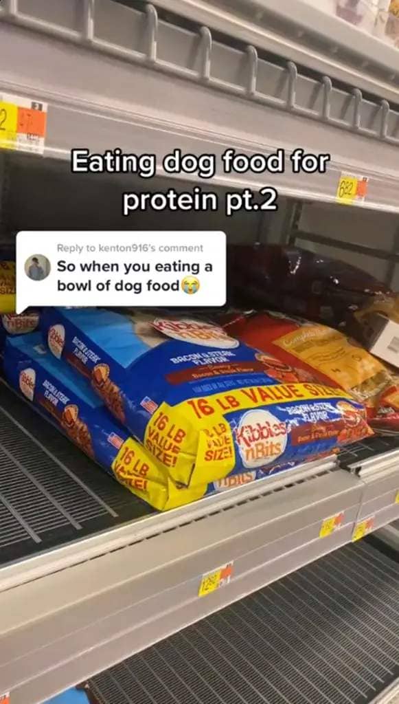 Dog food isn't you average dinner of champions and for good reason. 