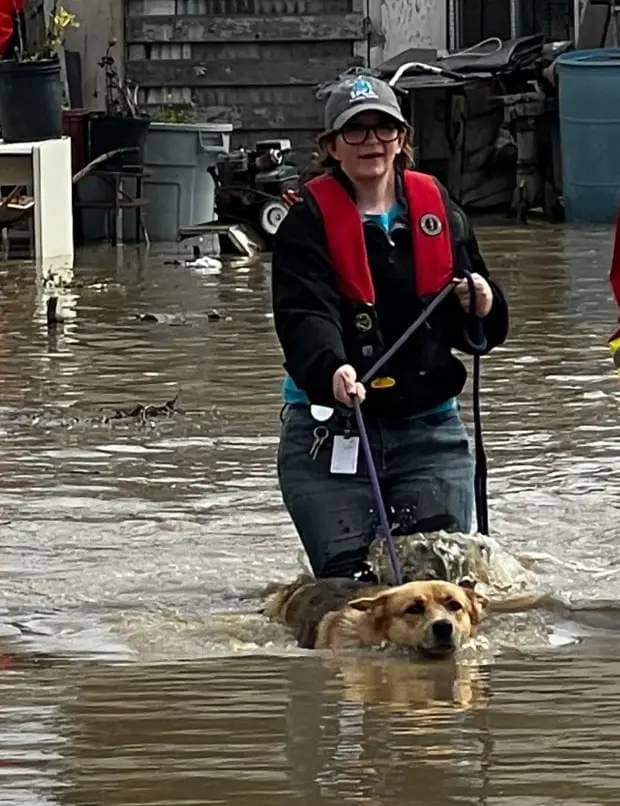 SPCA Monterey County's disaster response team rescues dogs after a levee breach along the Pajaro River sent floodwater into the nearby community of Pajaro. (Courtesy SPCA Monterey County)
