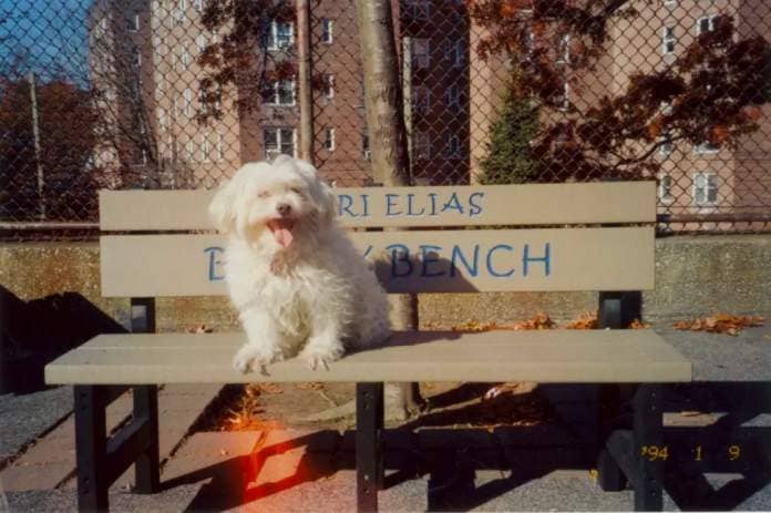 Leona sitting on a bench