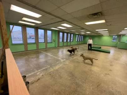 In early October last year, the Wrights took the space on Curtis Boulevard and spent three months renovating it to make it suitable for The Wright Pet Daycamp and Boarding. (Marah Morrison -- The News-Herald)