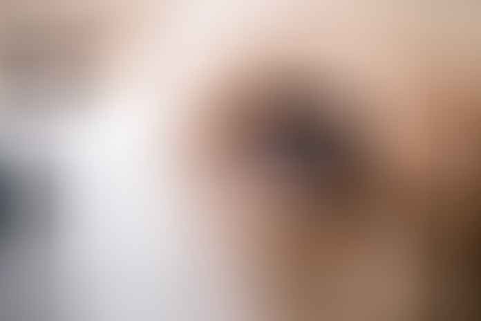 closeup portrait of tricolor beagle dog, focus on the eye