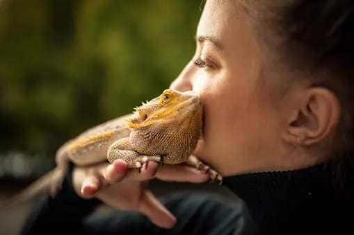 A woman holding a lizard
