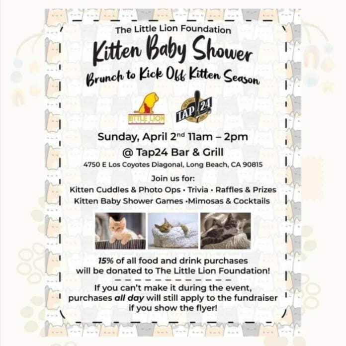 poster advertising a baby shower for newborn kittens