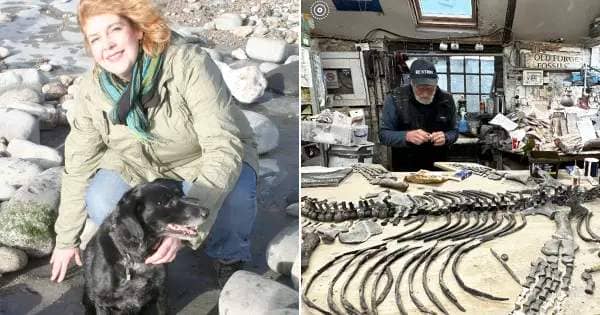 Rescue dog Raffle stumbled across the fossilised skeleton of a Jurassic plesiosaur during a walk at Lyme Regis, Dorset, in 2007 (Picture: BNPS)
