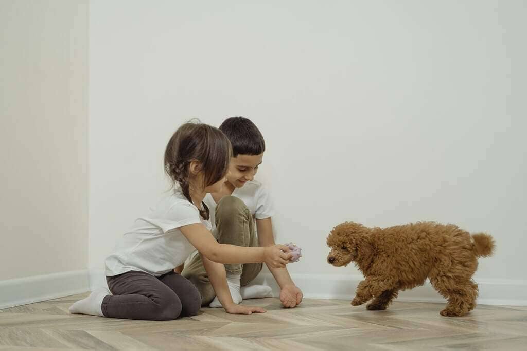 Boy and Girl Playing with the Brown Dog
