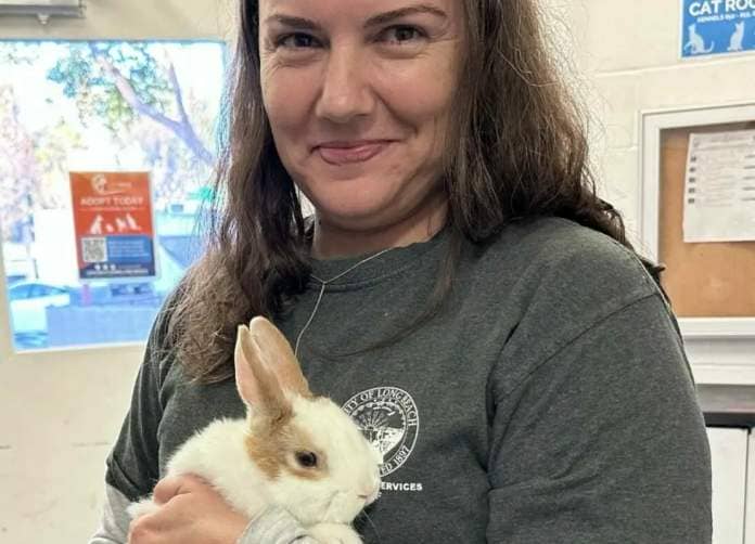 smiling woman holds a baby rabbit, who is white with tan ears