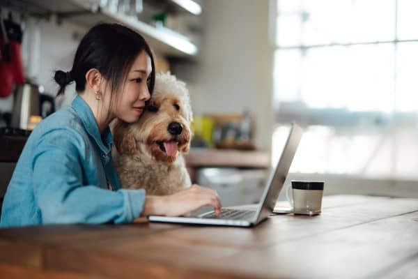 Woman and her dog looking at laptop