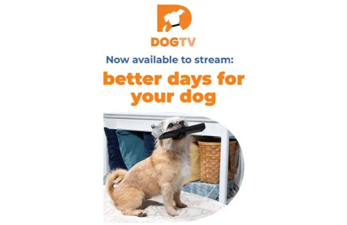 Promo image for DogTV