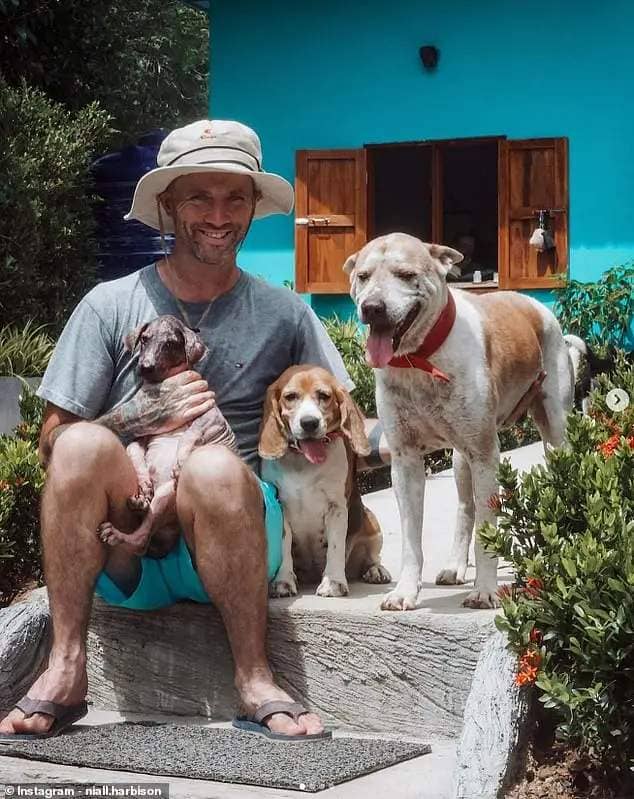 Recovering alcoholic Niall Harbison, who's originally from Ireland, has dedicated his life to helping transform the lives of rescue dogs in Thailand