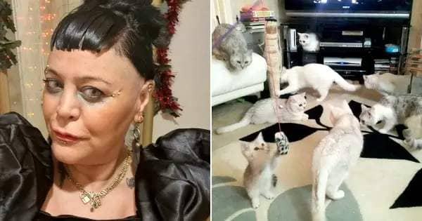 Woman only eats one meal a week so her cats don't go hungry