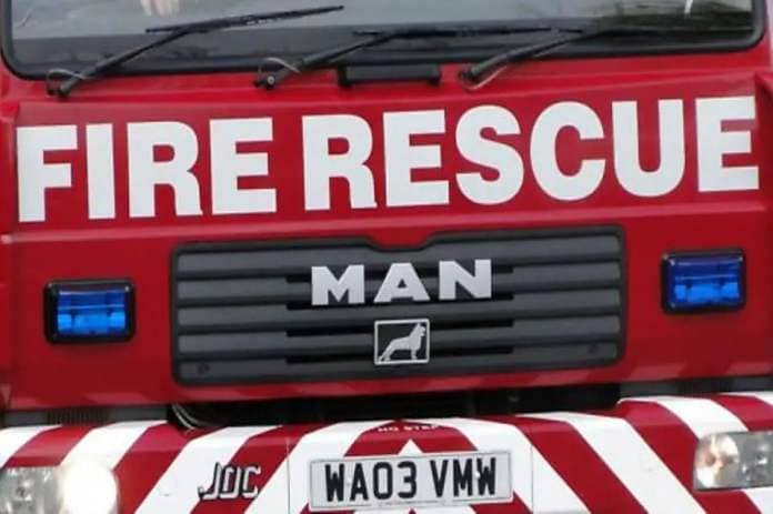 Cat rescued from a three storey building in Vivary