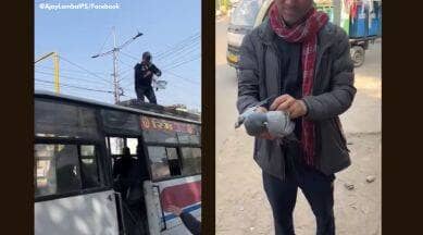traffic constable saves bird stuck on kite thread