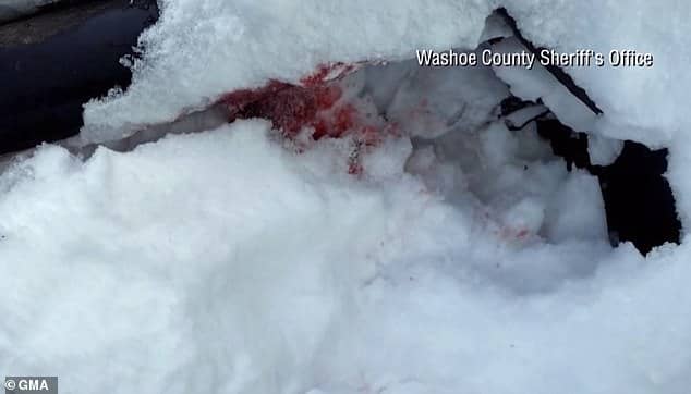 Blood soaked snow lays bare the horrific accident that took place near Renner's Lake Tahoe, Nevada home