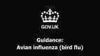 Icon of the UK crown above gov.uk and Guidance on Avian influenza (bird flu)