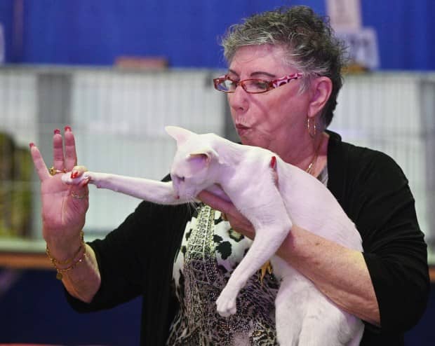 Ellyn Honey, a judge from The Cat Fanciers' Association, explains why she chose Below Zero, and Oriental short-hair cat, as Best of Show during the Crow Canyon Cat Club 42nd Annual Allbreed Cat Show at the Solano County Fairgrounds on Saturday in Vallejo. (Chris Riley/Times-Herald)