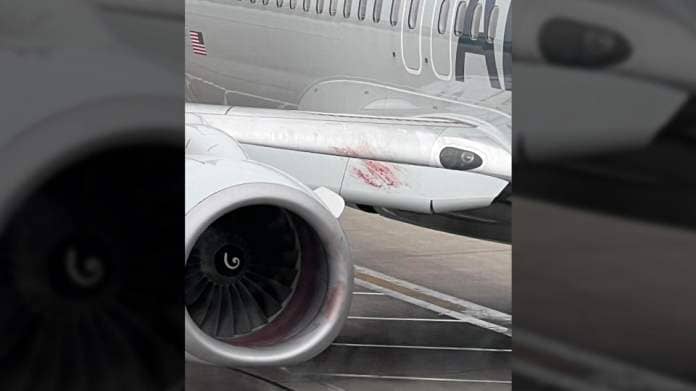 What appears to be blood is smeared across part of aircraft&#39;s exterior.