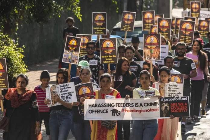 Animal lovers hold placards in protest of the Mumbai High Court's decision to ban the feeding of stray dogs in public places on November 6, 2022.