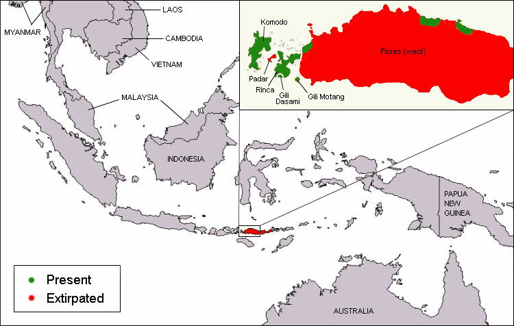Komodo dragon distribution map