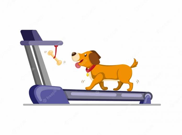 Premium Vector | Dog running in treadmill to get bone. training dog to run  or walk in home. cartoon flat illustration isolated in white background