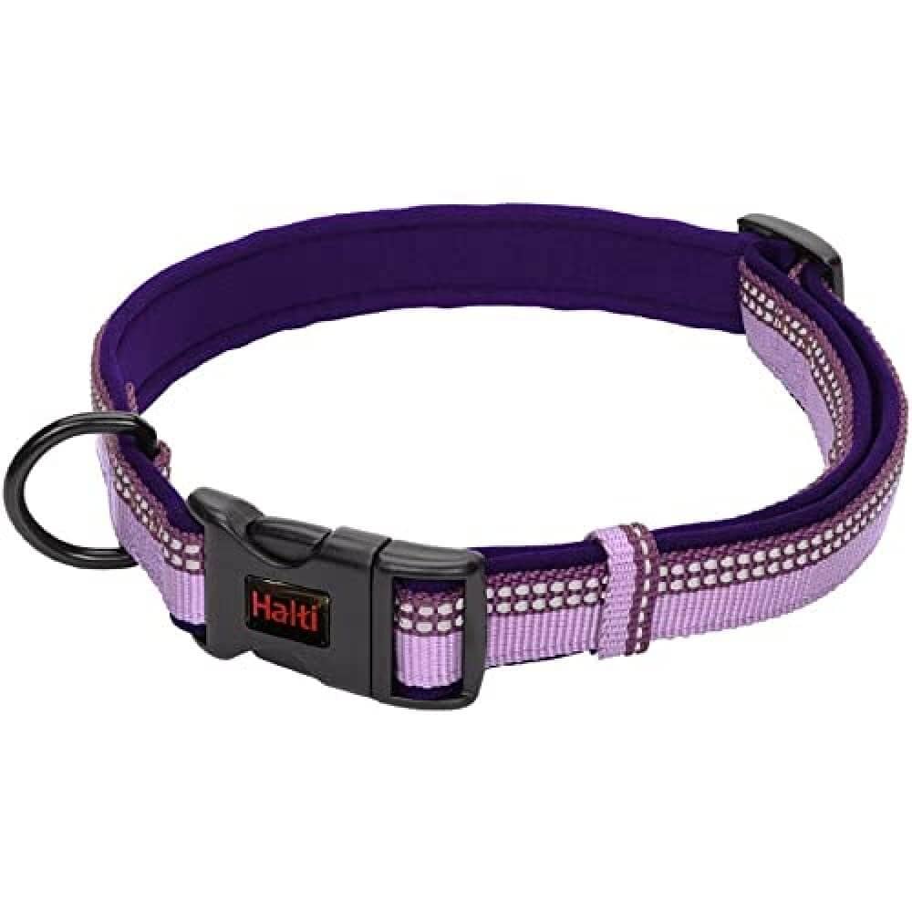 HALTI Collar, Size Medium, Purple