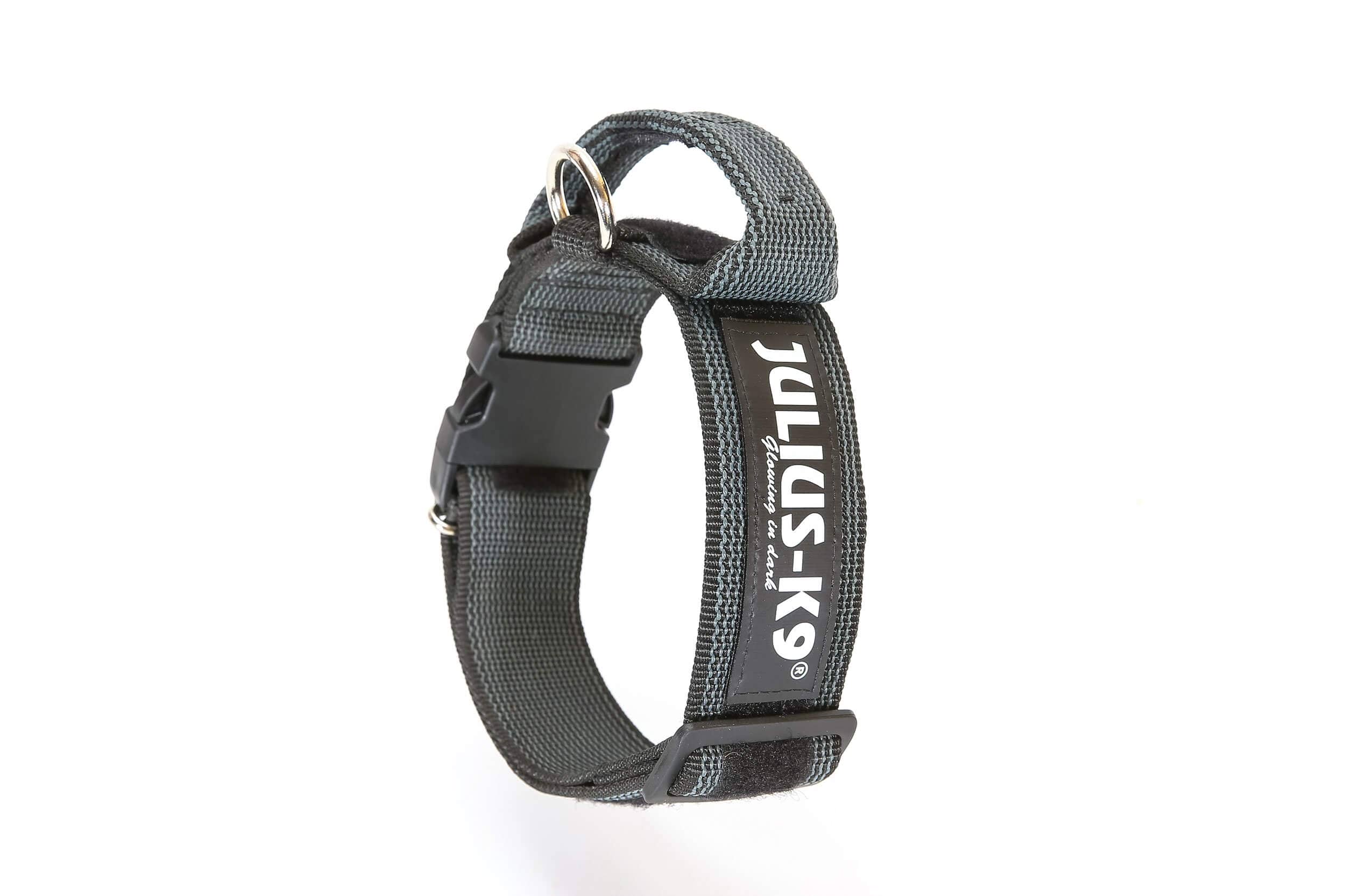 Julius-K9 Colour and Gray Collar with Handle