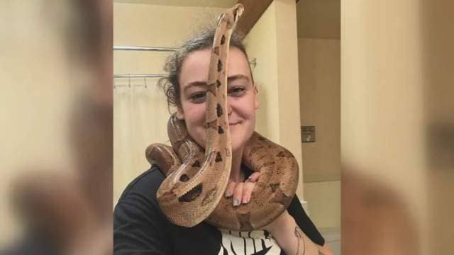 Click to play video: 'Snake on the loose after escaping from Kitsilano apartment'