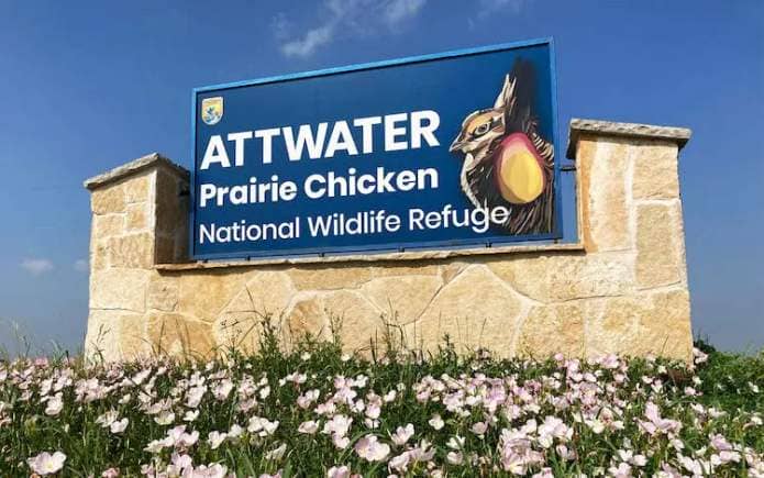 The entrance to Attwater Prairie Chicken National Wildlife Refuge.