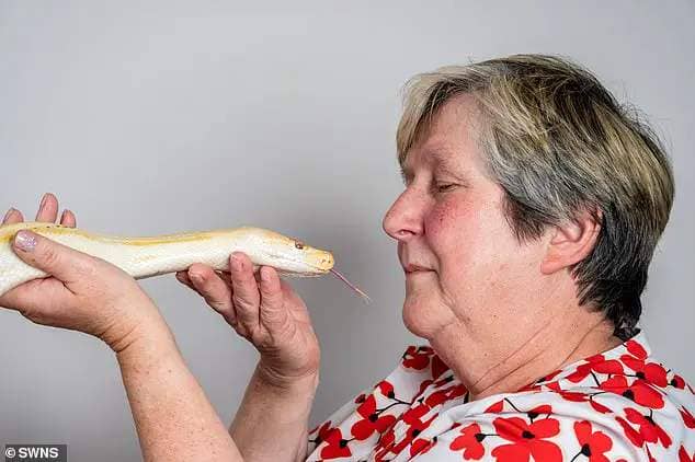 The retired nurse had always hated snakes, so when her daughter Rachel moved in with her 6ft-long ball python, she wasn't best pleased